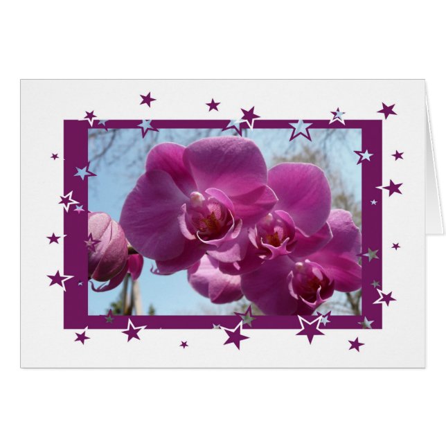 Purple Orchid (Front Horizontal)