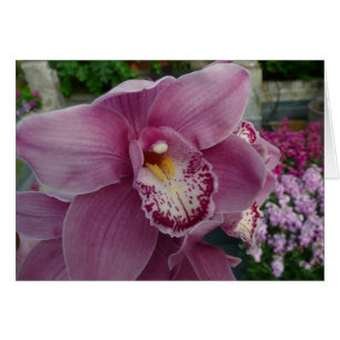 Purple Orchid and Garden Colourful Floral