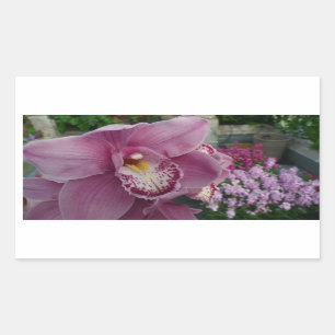 Purple Orchid and Garden Colourful Floral Rectangular Sticker
