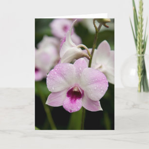 Purple Orchid Blank Card