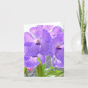 PURPLE ORCHID CARD