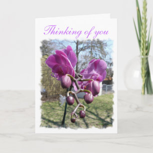 Purple Orchid Card