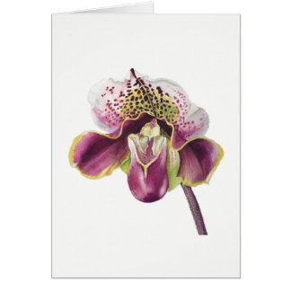 Purple Orchid Card 5" X 7" Blank, with envelope
