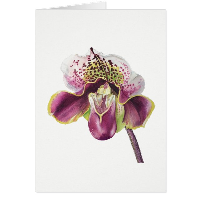 Purple Orchid Card 5" X 7" Blank, with envelope (Front)