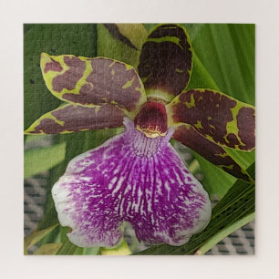 Purple Orchid Close Up Photo Elegant Nature Jigsaw Puzzle