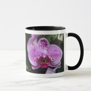 Purple Orchid Double with Border Ringer Mug