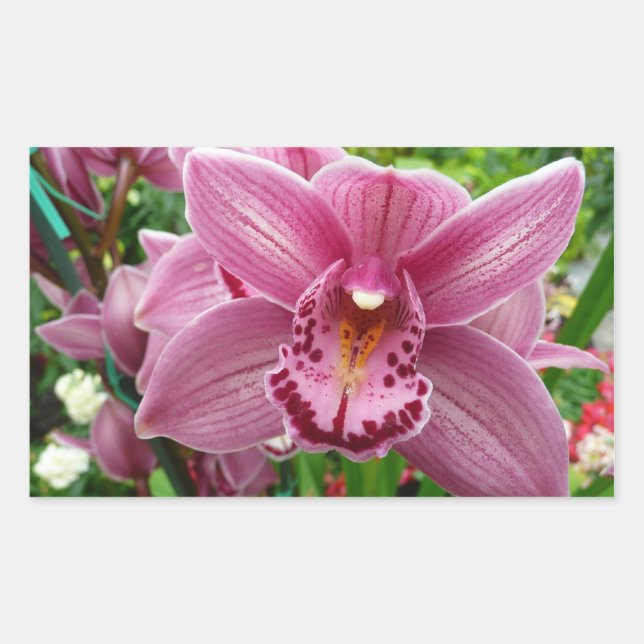 Purple Orchid Elegant Floral Botanical Rectangular Sticker (Front)