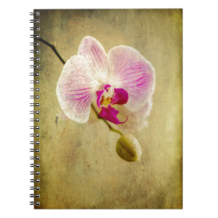 Purple Orchid Floral Flower Aged Antique Notebook