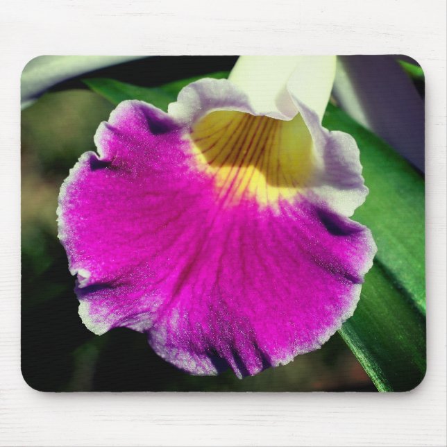 Purple Orchid Flower  Mouse Mat (Front)