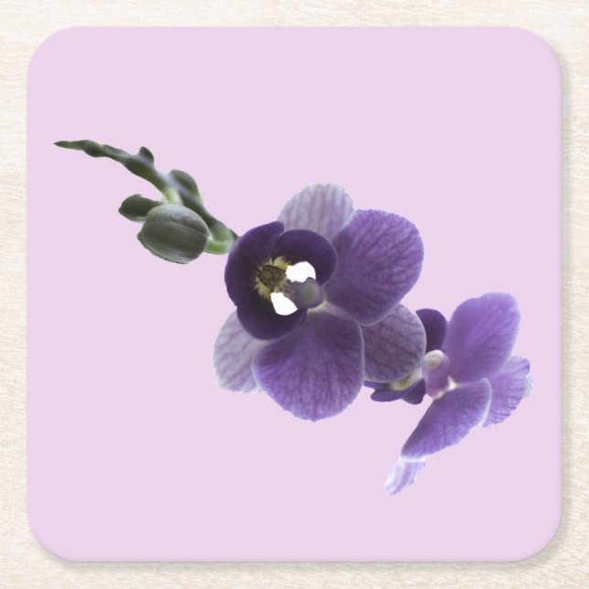 Purple orchid flower, Paper Coaster (Front)