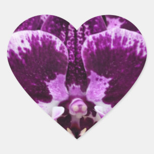 Purple Orchid Heart Stickers