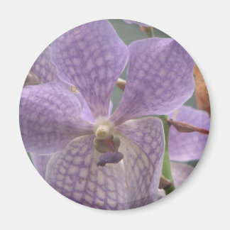 Purple Orchid Magnet