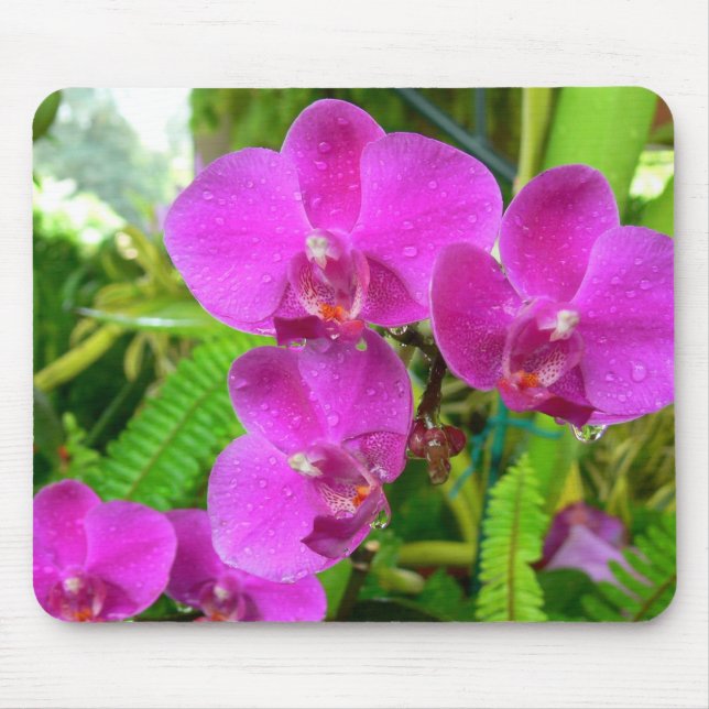 Purple Orchid Mouse Mat (Front)