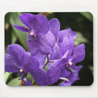 Purple Orchid Mouse Pad