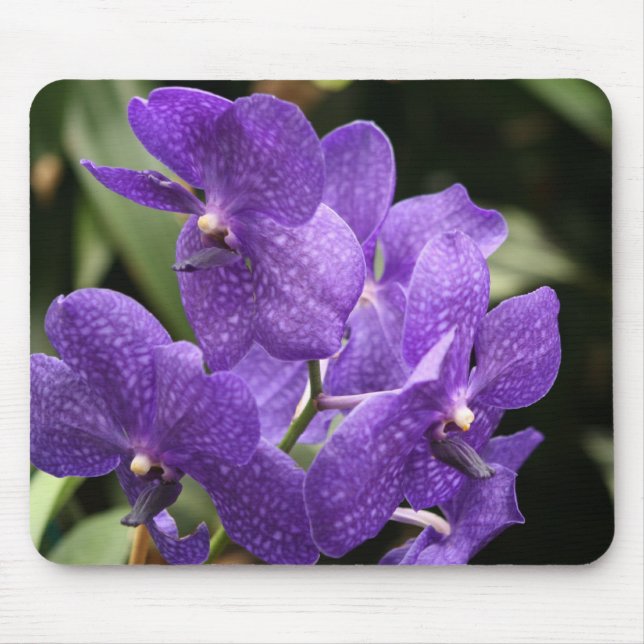 Purple Orchid Mouse Pad (Front)