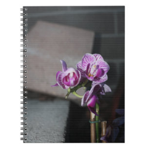 Purple Orchid Notebook