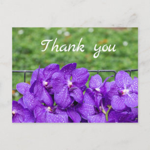 Purple orchid on green grass thank you  postcard