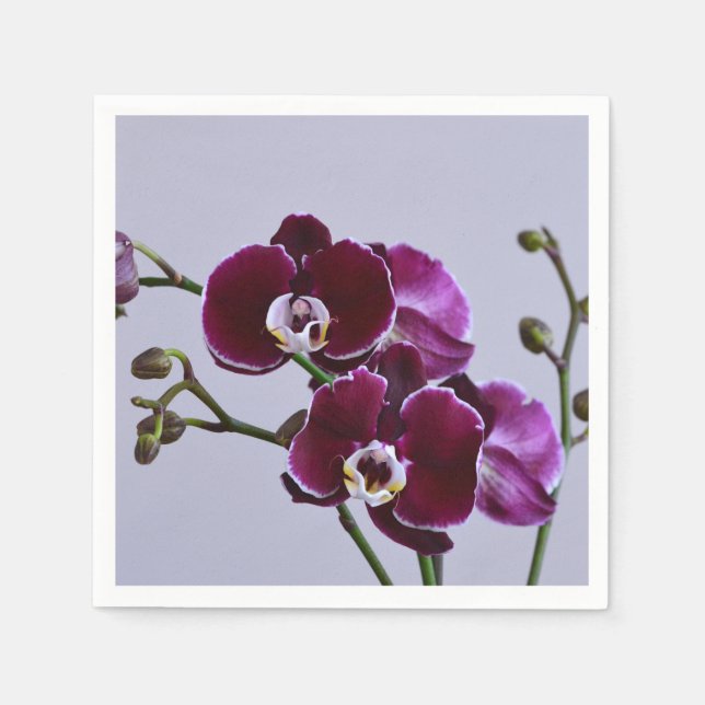 Purple Orchid Paper Napkin (Front)