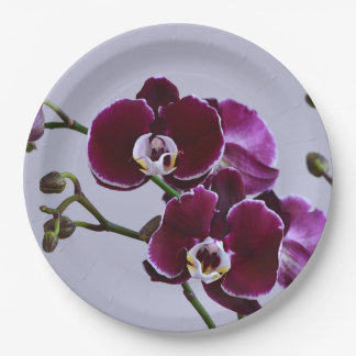 Purple Orchid Paper Plate