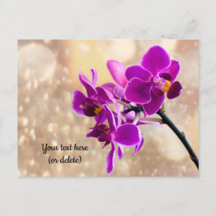Purple Orchid Postcard