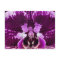 Purple Orchid Postcard