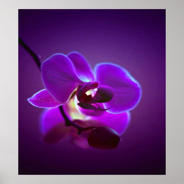 Purple Orchid Poster (Front)