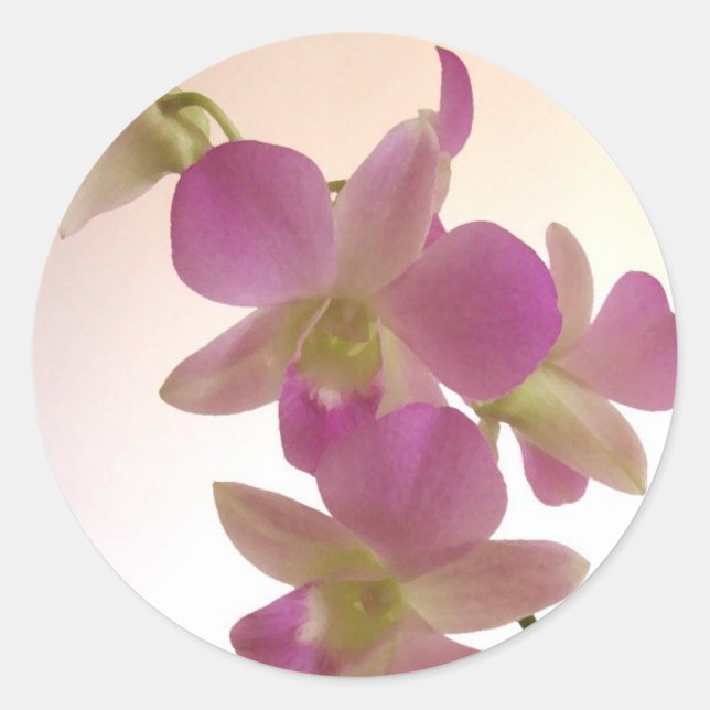 Purple Orchid Stickers (Front)