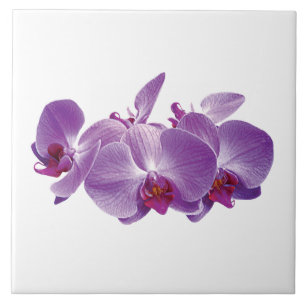 Purple Orchid Trio Tile