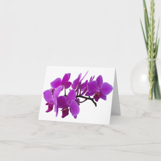 Purple Orchids Blank card (Front)