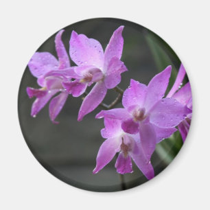 Purple Orchids Magnet