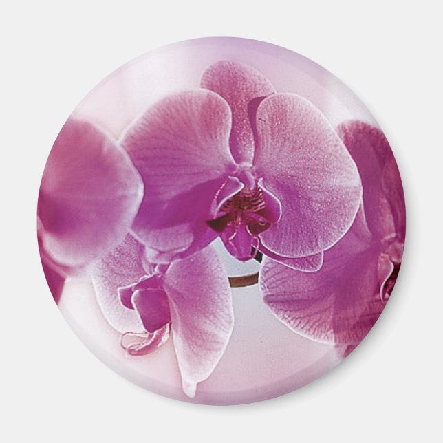 Purple Orchids Magnet (Front)