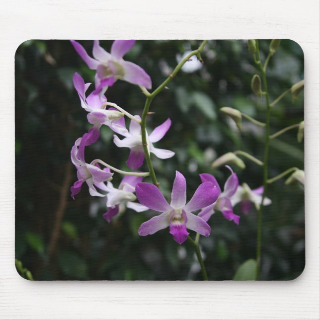 Purple Orchids Mouse Mat (Front)