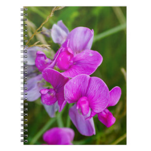 Purple Orchids Notebook