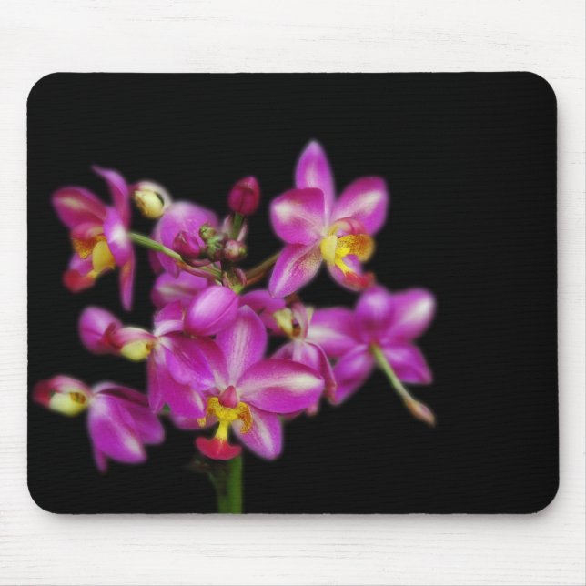 Purple orchids on Black background Mouse Mat (Front)