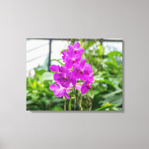 Purple orchids view canvas print