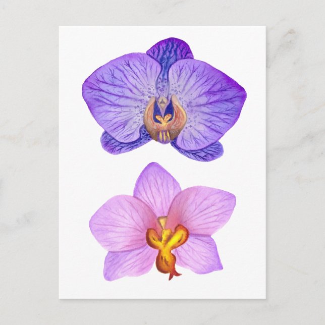 Purple Orchids Watercolor Postcard (Front)
