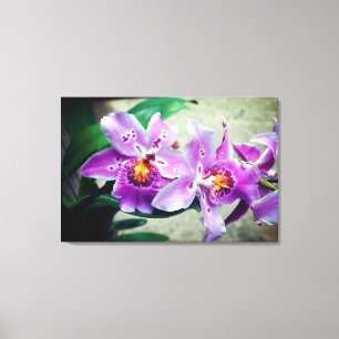 Purple Orchids Wrapped Canvas Print