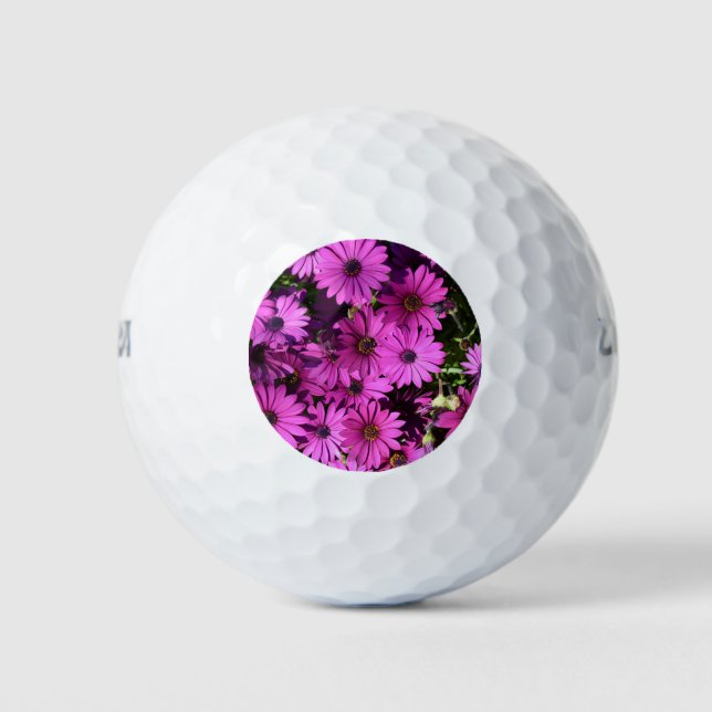 Purple Osteospermum Flowers Golf Balls (Front)