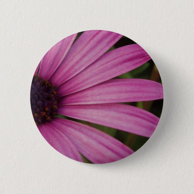 Purple Osteospurmum Button (Front)