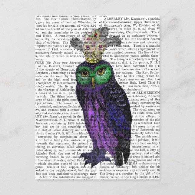 Purple Owl Postcard (Front)