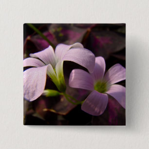 Purple Oxalis Blossoms 15 Cm Square Badge