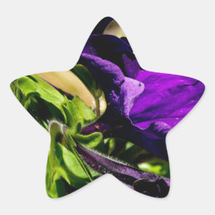 Purple Panic Star Sticker