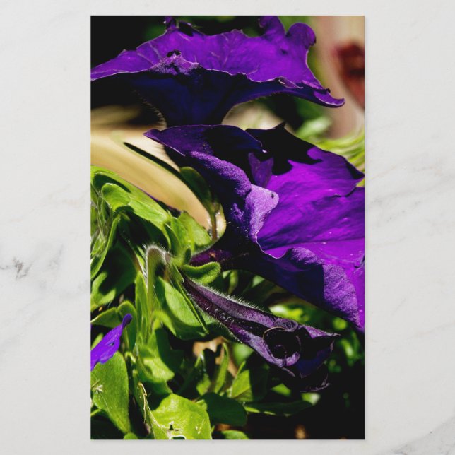 Purple Panic Stationery (Front)