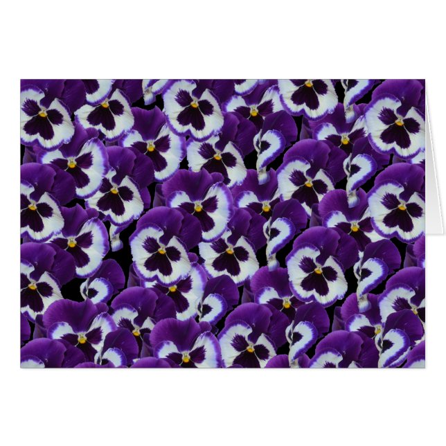 Purple Pansies Bouquet, (Front Horizontal)