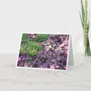 Purple Pansies Card