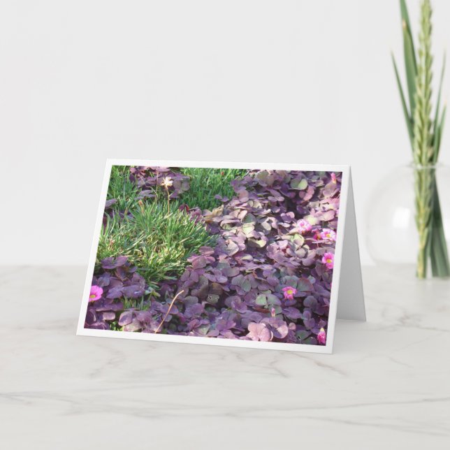 Purple Pansies Card (Front)