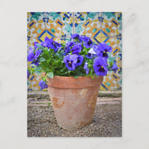 Purple Pansies Flower Pot Postcard