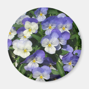 Purple Pansies Garden Floral Magnet