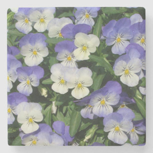Purple Pansies Garden Floral Stone Coaster