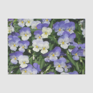 Purple Pansies Garden Floral Tissue Paper